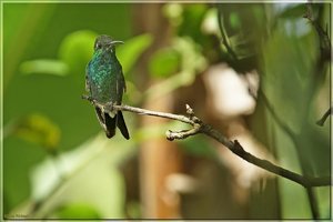 Bild -4.jpg Bild -4.jpg