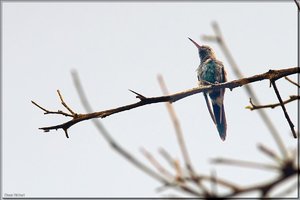 Bild -7.jpg Bild -7.jpg