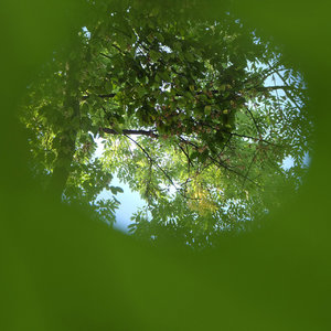 DSCF4732 Quadrat.jpg