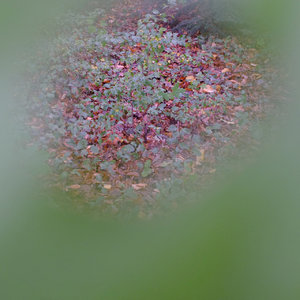 DSCF4643 quadratisch.jpg