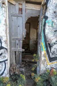 comp_SAM_1395.jpg comp_SAM_1395.jpg