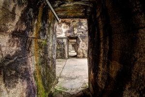 _MG_6268_69_70_1400.jpg _MG_6268_69_70_1400.jpg