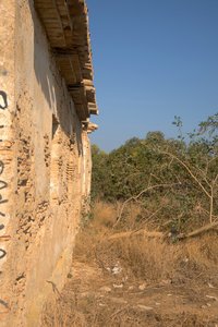 comp_SAM_1398.jpg comp_SAM_1398.jpg