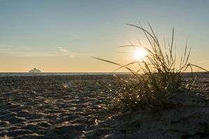 comp_DSC_0012 (2).jpg