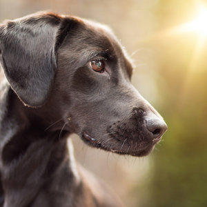 2016 10 08_4875_bearbeitet-2.jpg