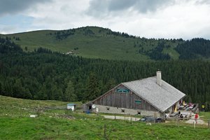 DSC00376_bearbeitet-1.JPG DSC00376_bearbeitet-1.JPG