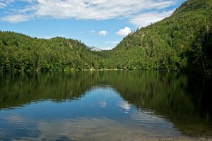 DSC00541_bearbeitet-1.JPG DSC00541_bearbeitet-1.JPG