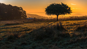 Fotoforum-3.jpg Fotoforum-3.jpg