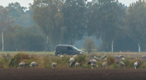 _MG_8980.jpg _MG_8980.jpg