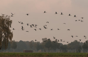 _MG_8975.jpg _MG_8975.jpg