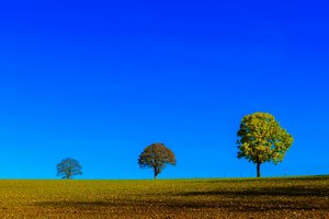 comp_ExLR DSC_7859.jpg