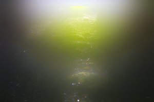 Forum SDIM1426 SD14 + AutoRev 1,9 50mm©PPf.jpg