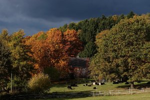 Forum DSC00347cr©PPf.jpg