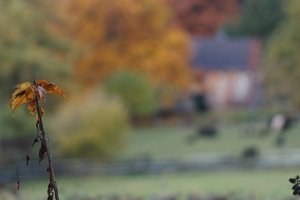 Forum DSC00342_1©PPf.jpg