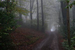 Forum DSC00282cr Nex5r + Sony 16-50©PPf.jpg