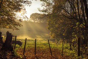 für Fotoforum Nachtrag-1.jpg