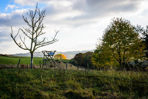 für Fotoforum-1.jpg