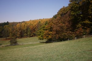 Forum DSC00523 Nex5r + Vivitar 2,0 28mm©PPf.jpg