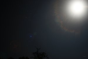 Forum DSC00530 Nex5r + Vivitar 2,0 28mm©PPf.jpg