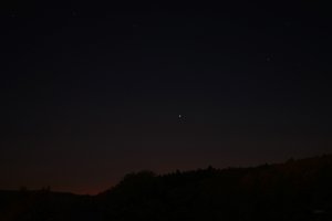 Forum DSC00535 Nex5r + Vivitar 2,0 28mm©PPf.jpg