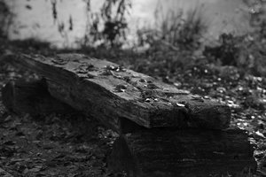 comp_IMG_7511.jpg comp_IMG_7511.jpg