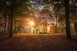 _DSC2695-Bearbeitet-Bearbeitet Kopie.jpg