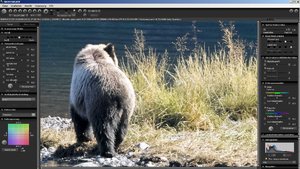 ISO800Screen.jpg ISO800Screen.jpg