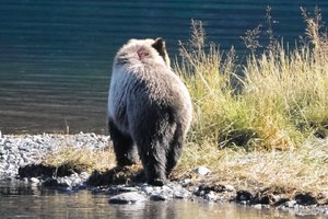 cSDIM1505.jpg cSDIM1505.jpg