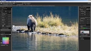 ISO800BinningScreen.jpg ISO800BinningScreen.jpg