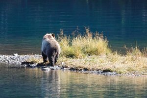 cSDIM1505Binning.jpg cSDIM1505Binning.jpg