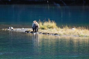 HD_SDIM1505Binning.jpg HD_SDIM1505Binning.jpg