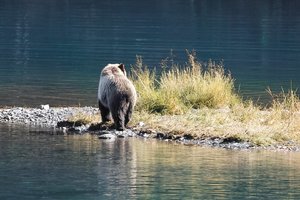 cSDIM1505BinningKorr.jpg cSDIM1505BinningKorr.jpg