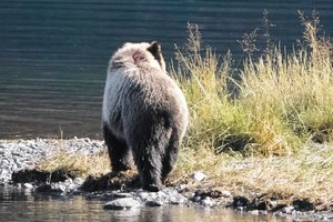 cSDIM1505Korr.jpg cSDIM1505Korr.jpg