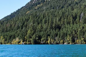 cSDIM1378.jpg cSDIM1378.jpg