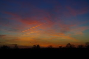 comp_Moorwarfen (5)Moorwarfen.jpg