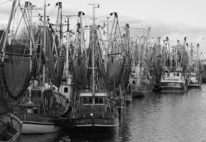 GreetsielGretsiel 2016 (4)Waben.jpg