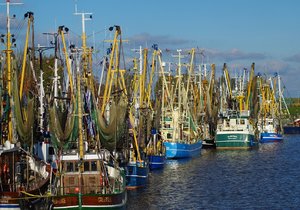 GreetsielGreetsiel 2016 (3)Waben.jpg