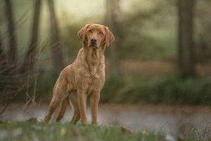 comp_Melanie_Achtzechn_0010.jpg comp_Melanie_Achtzechn_0010.jpg