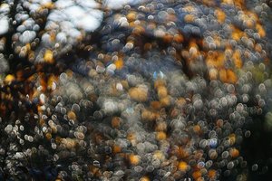 Forum DSC00854 Nex5r + Mamiya 1,4 55mm©PPf.jpg