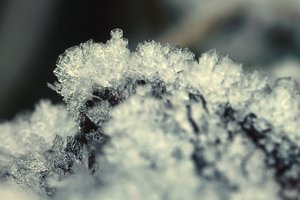 Forum DSC00849psf2tccr Nex5r + Friedrich München 3,5 8cm©PPf.jpg