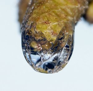 Forum DSC00847twcrcr Nex5r + Friedrich München 3,5 8cm©PPf.jpg