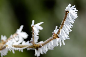 DSCF6161.jpg DSCF6161.jpg