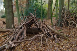 Mein Haus...Mein HausHaus.jpg