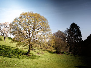 für Fotoforum-1.jpg