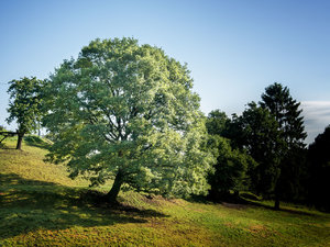 für Fotoforum-2.jpg