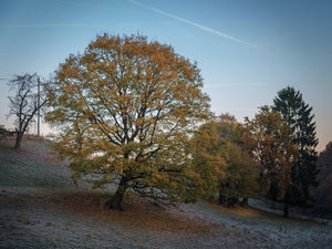 für Fotoforum-3.jpg