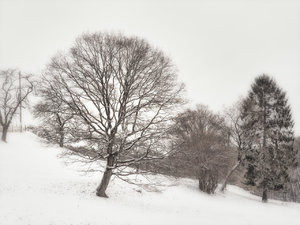 für Fotoforum-4.jpg