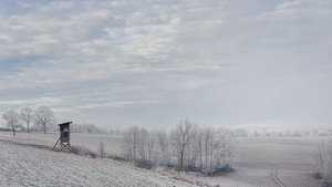 für Fotoforum-6.jpg