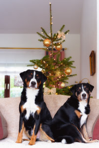 für Fotoforum-7.jpg