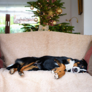 für Fotoforum-8.jpg